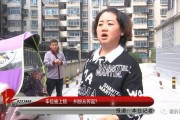 深圳龙华王小姐最新爆料,揭秘某事件背后惊人真相
