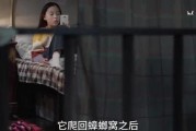 晨熙姐姐爆料了吗视频在线观看,揭秘幕后故事