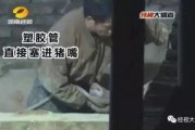 猪灌泥浆爆料视频大全集,揭秘背后惊人真相