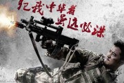 战狼2在线观看DVD,燃情岁月，热血沸腾的视觉盛宴